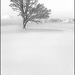 Neige fraîche... - Claude-Alain Ferrière Neige fraîche... - Claude-Alain Ferrière