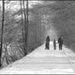 20090601030830_hiver-200901113.jpg