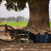 20090602021000_Sleeping_man_in_Ouagadougou[1].jpg