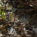 20090602035132_Vie_plusforteque_mort_frereflav.jpg