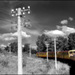 20090602041959_TRAIN_JAUNE.jpg