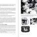 livre_dai2_cap002 livre_dai2_cap002
