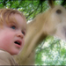 20100608141225_arzhel__au_pays_des____.jpg