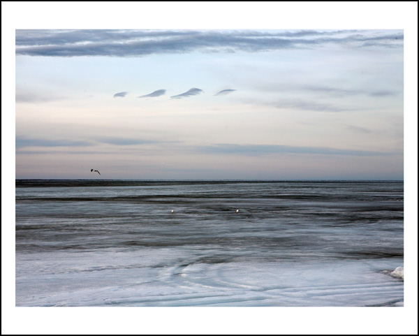 PAYSAGE • Bertrand Desprez PAYSAGE • Bertrand Desprez