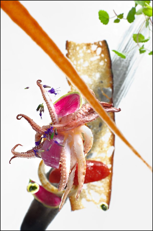 CULINAIRE • Sébastien Hervé CULINAIRE • Sébastien Hervé