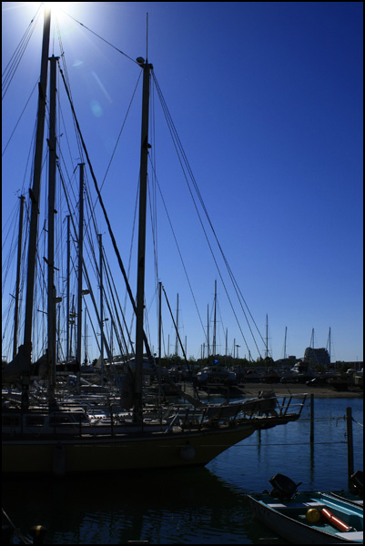 20110328161921_contre_jour.jpg 20110328161921_contre_jour.jpg