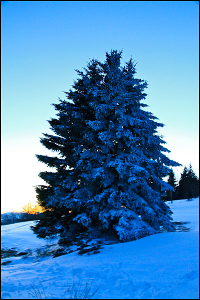 20110329092511_cyan.jpg 20110329092511_cyan.jpg