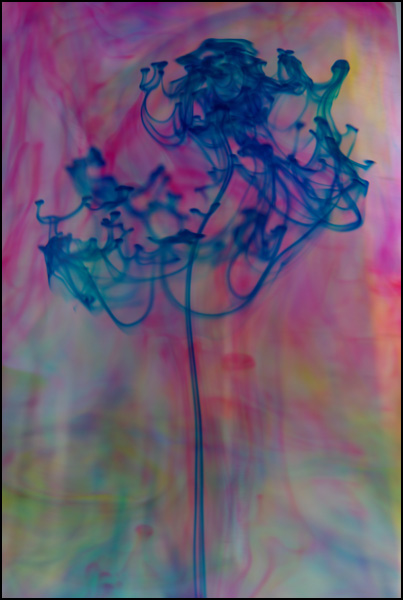 20110329190726_imgp0710.jpg 20110329190726_imgp0710.jpg