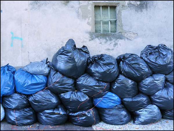 20110329202423_poubleues.jpg 20110329202423_poubleues.jpg