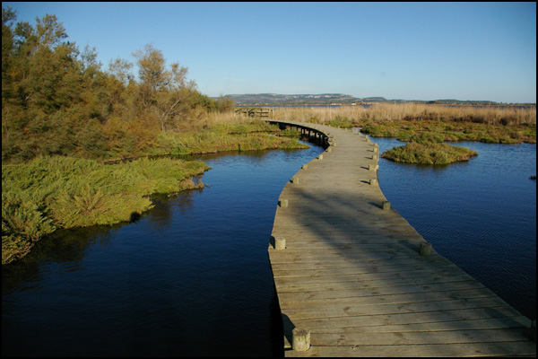 20110328212928_05__suivre_son_chemin.jpg 20110328212928_05__suivre_son_chemin.jpg