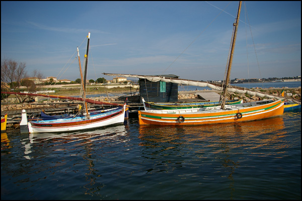 20110328212928_les_oranges_bleues.jpg 20110328212928_les_oranges_bleues.jpg