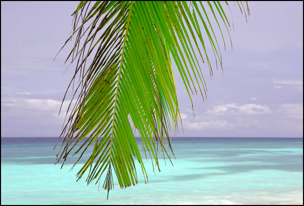 20110329105043_img_3616_1.jpg 20110329105043_img_3616_1.jpg