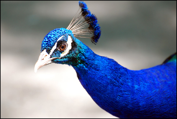 20110329115742_b0007022.jpg 20110329115742_b0007022.jpg