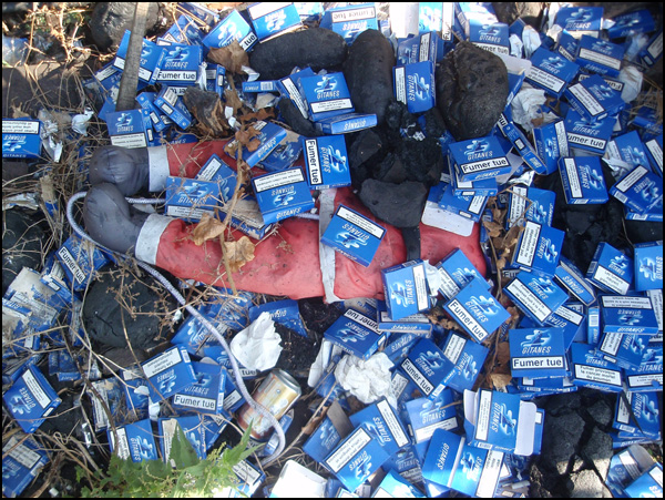 20110329212433_p8060121.jpg 20110329212433_p8060121.jpg