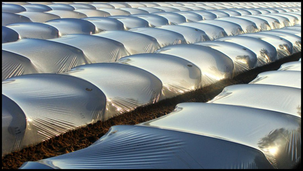 20110329214314_dsc06717serres.jpg 20110329214314_dsc06717serres.jpg