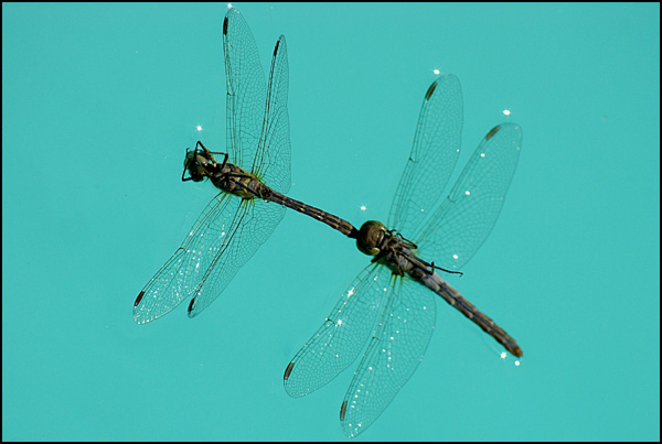 20110329232156_repos.jpg 20110329232156_repos.jpg