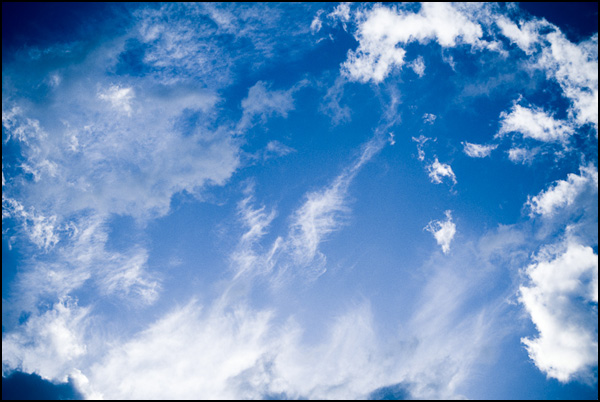 20110329235615_img_1132.jpg 20110329235615_img_1132.jpg