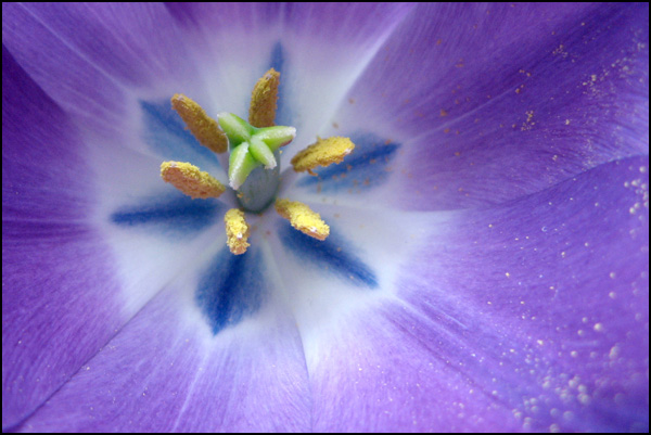 20110330004818_20070318_img_3978.jpg 20110330004818_20070318_img_3978.jpg