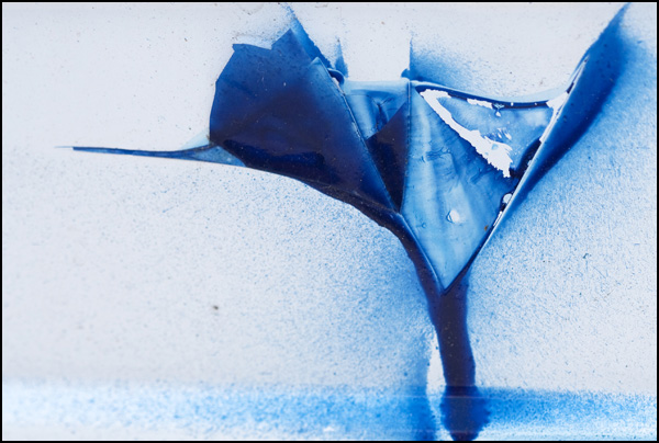 20110330004818_20090329_img_0429.jpg 20110330004818_20090329_img_0429.jpg