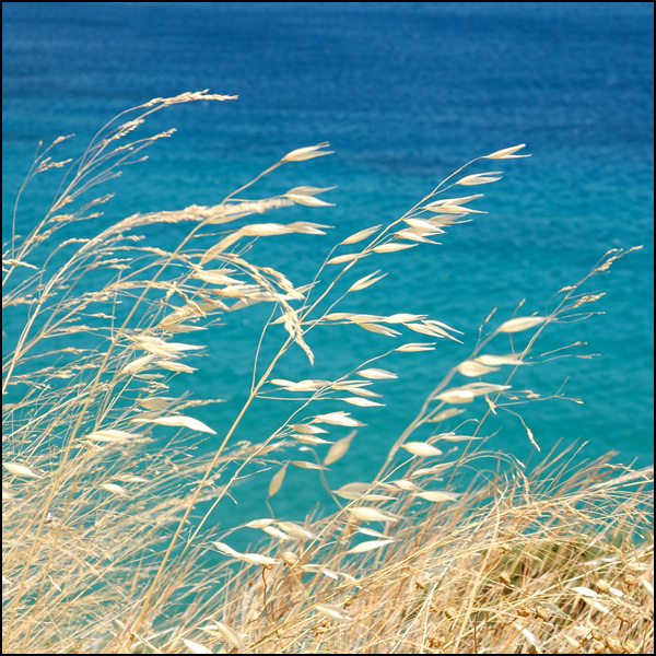 20110330073554_dsc_0731.jpg 20110330073554_dsc_0731.jpg