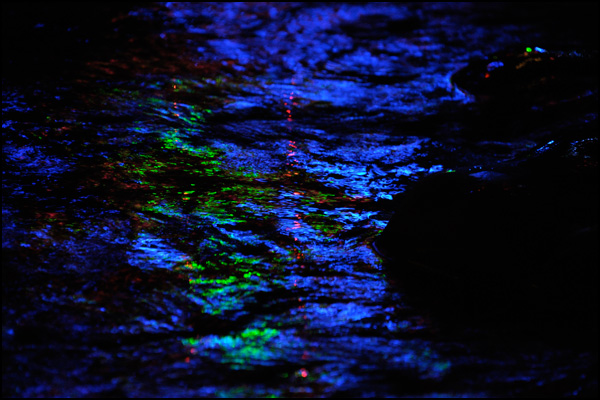 20110330091713_le_fleuve.jpg 20110330091713_le_fleuve.jpg