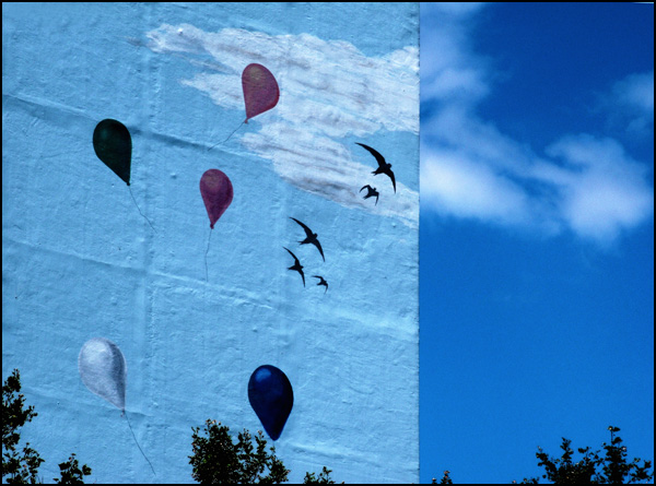 20110330144132_dscf0569_2.jpg 20110330144132_dscf0569_2.jpg