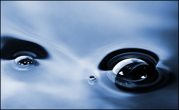 20110330153434_clin_d_oeil.jpg 20110330153434_clin_d_oeil.jpg