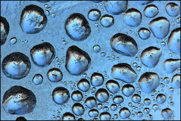 20110330160147_jour_de_gel.jpg 20110330160147_jour_de_gel.jpg