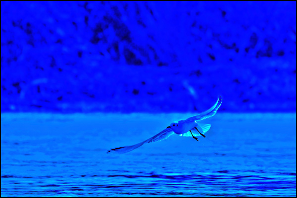 20110330170347__dsc0051.jpg 20110330170347__dsc0051.jpg