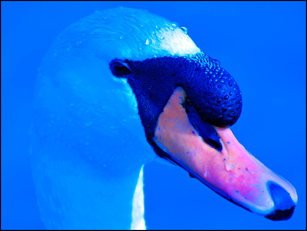 20110330170347__dsc0053.jpg 20110330170347__dsc0053.jpg