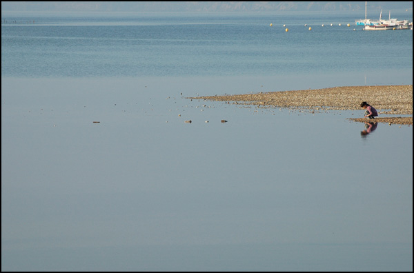 20110330181859_dsc_0055.jpg 20110330181859_dsc_0055.jpg