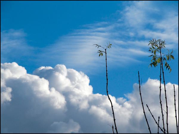 20110330203134_ciel_de_montreuil.jpg 20110330203134_ciel_de_montreuil.jpg