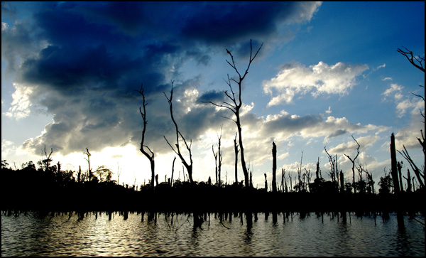 20110330220953_severine_rouiller_strange.jpg 20110330220953_severine_rouiller_strange.jpg