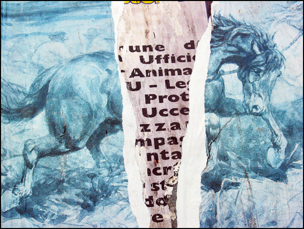 20110330221358_120_2089_img.jpg 20110330221358_120_2089_img.jpg