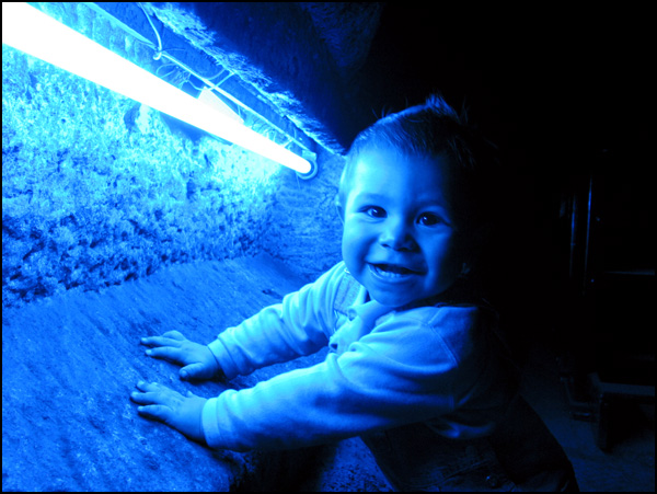 20110330221358_img_8141.jpg 20110330221358_img_8141.jpg