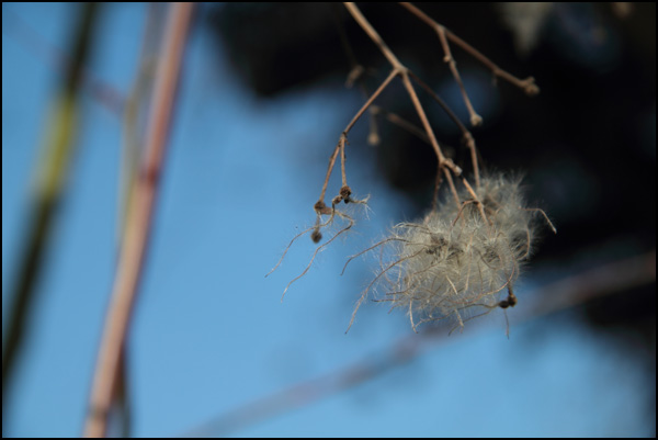 20110330225209_img_1607.jpg 20110330225209_img_1607.jpg