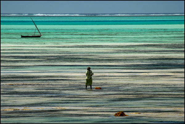 20110330231037__dsc6347.jpg 20110330231037__dsc6347.jpg