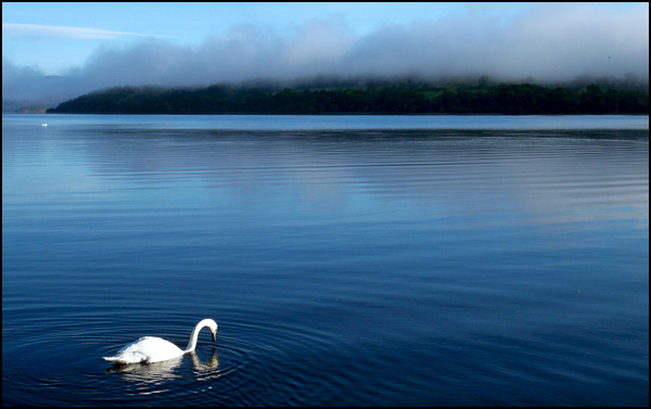 20110330232211_100_13142009123709.jpg 20110330232211_100_13142009123709.jpg