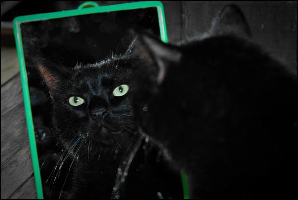 20110331001103_severine_rouiller_calinou.jpg 20110331001103_severine_rouiller_calinou.jpg