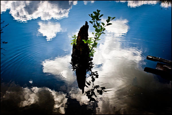 20110331222922_hope_cyril_reze.jpg 20110331222922_hope_cyril_reze.jpg