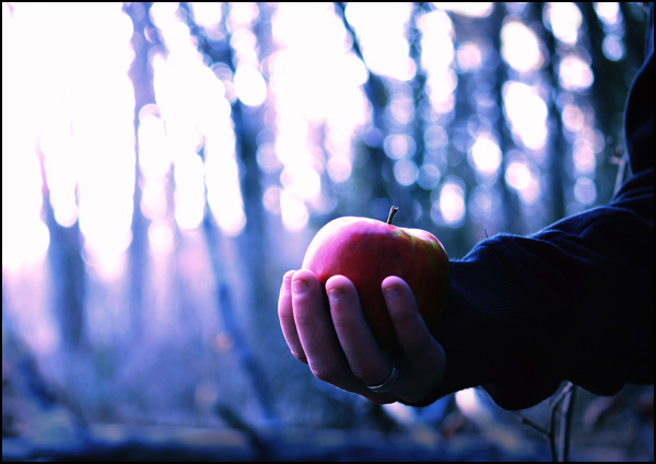 20110331232208_img_2409_2.jpg 20110331232208_img_2409_2.jpg