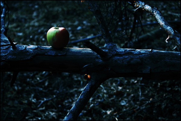 20110331232208_img_2419_2.jpg 20110331232208_img_2419_2.jpg