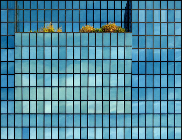 20110329102041_defense2bis.jpg 20110329102041_defense2bis.jpg