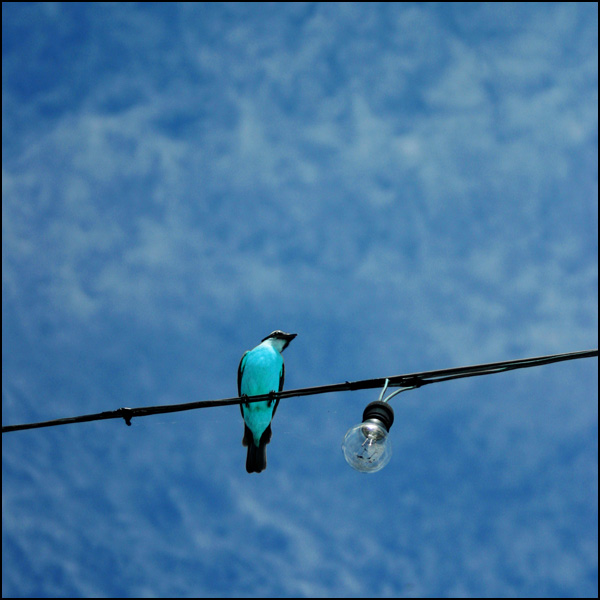 20110329013539_img_3073_2.jpg 20110329013539_img_3073_2.jpg