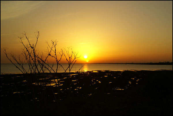 20110328223736_dsc01493.jpg 20110328223736_dsc01493.jpg