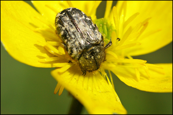 20110329000002_nimgp6953.jpg 20110329000002_nimgp6953.jpg