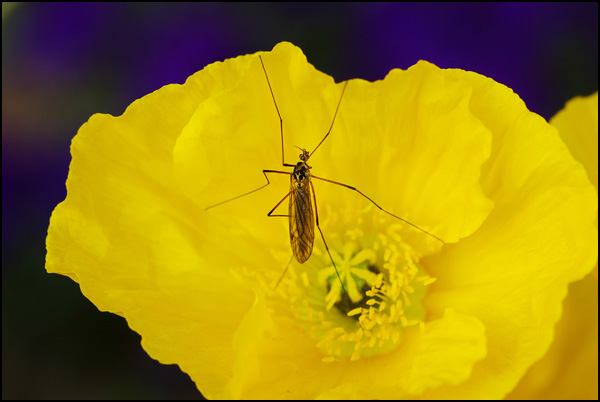 20110329001112_pimgp6784.jpg 20110329001112_pimgp6784.jpg