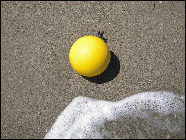 20110329214940_coolpix_0838.jpg 20110329214940_coolpix_0838.jpg