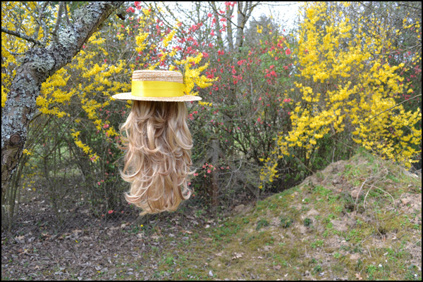 20110329224432_hollandaise_volante.jpg 20110329224432_hollandaise_volante.jpg