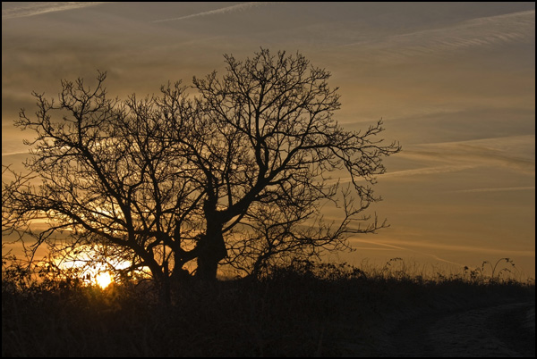 20110328161223_reveil.jpg 20110328161223_reveil.jpg